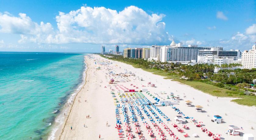 Sobe Apartments photo