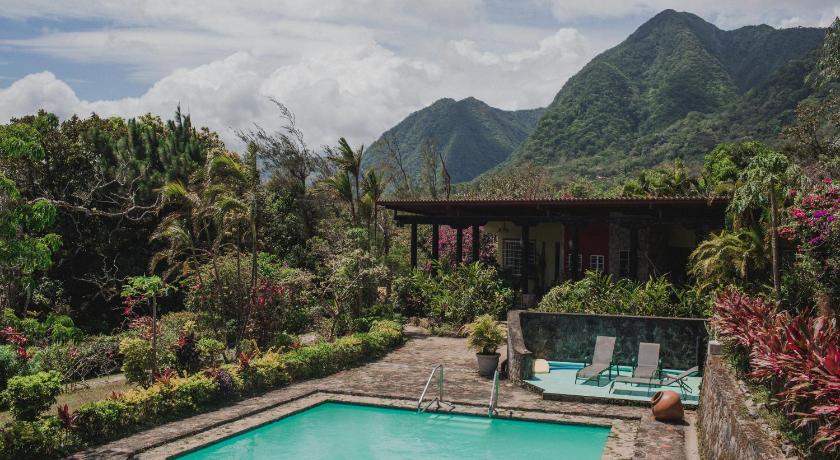 The Golden Frog Inn photo