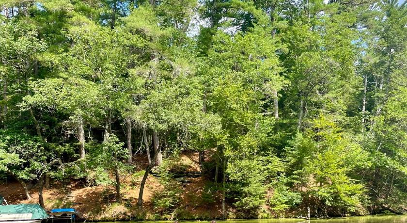 Yogi Bear's Jellystone Park Camp-Resort Wisconsin Dells photo