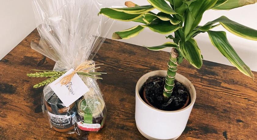 ソウト Casa Amodino 4つ星 シングルルーム 眺望