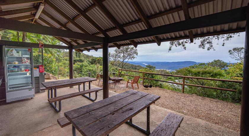 Binna Burra Lodge & Rainforest Campsite photo