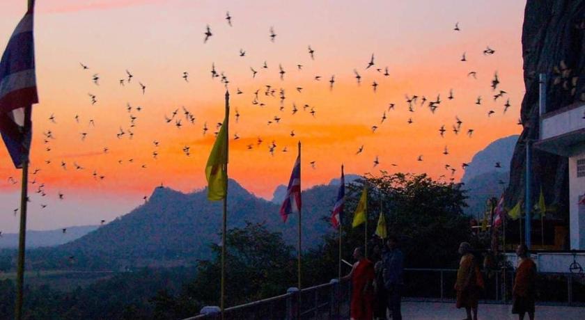 a large group of birds flying over a city, PEE HOMESTAY LOPBURI in Lopburi