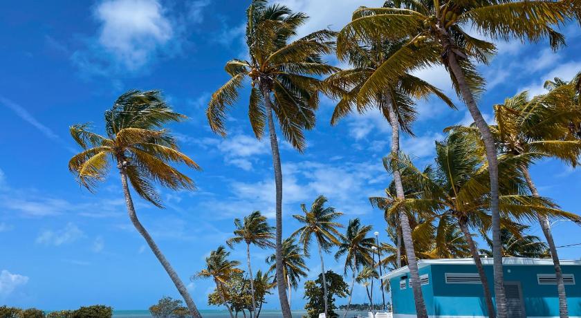 Tropic Isle Hotel & Apartment photo