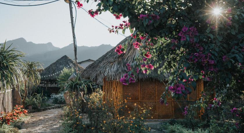 SAKURA House Vườn Đào photo