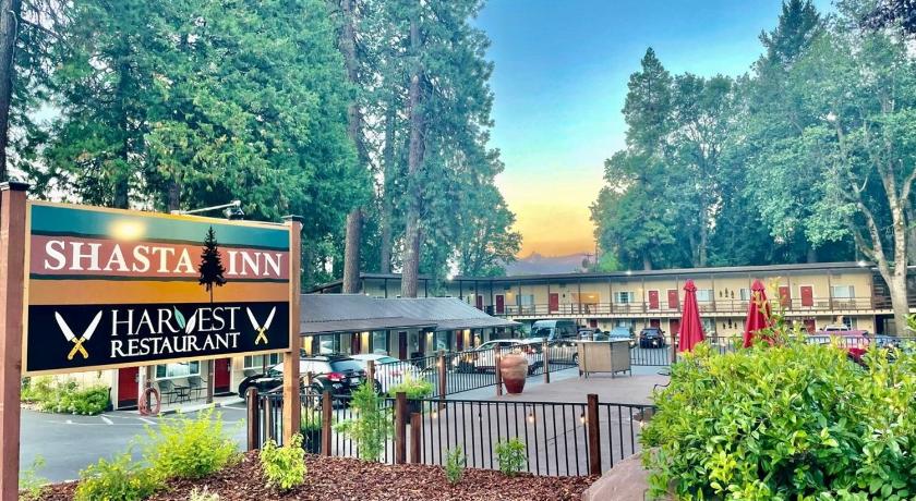 Shasta Inn photo