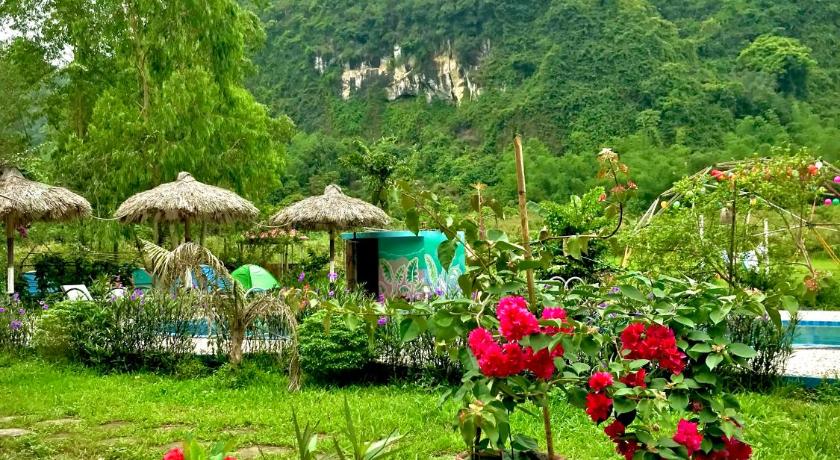 a vase filled with flowers on top of a lush green field, Woodstock Jungle Camp in Cat Ba Island