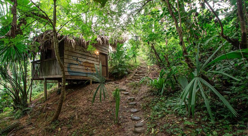 Villa Yira Eco-hotel photo