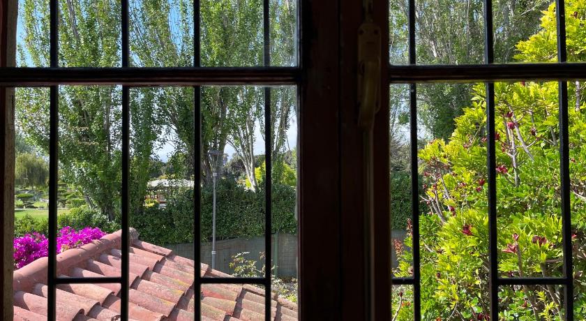 El Arbol Hostel photo