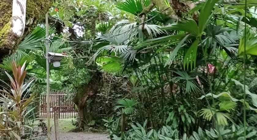 Image of Bungalow with Garden View 10