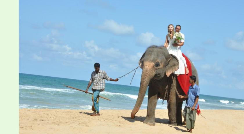 Bentota Home Stay photo