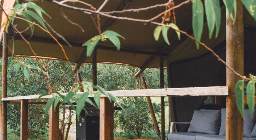 Silk Pavilions photo