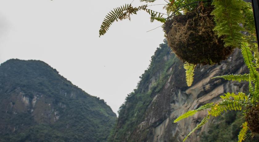 Runas Inn Machupicchu photo