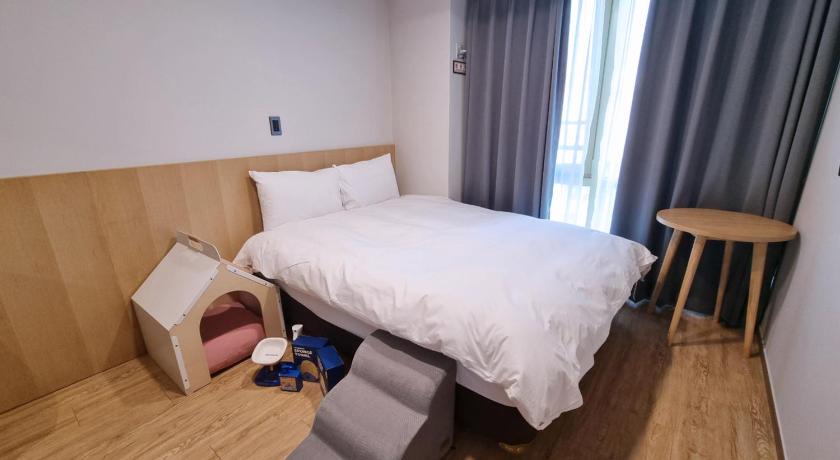 스탠다드 더블룸 - 반려동물 동반 가능 (Standard Double Room with Pet Friendly) 이미지 7