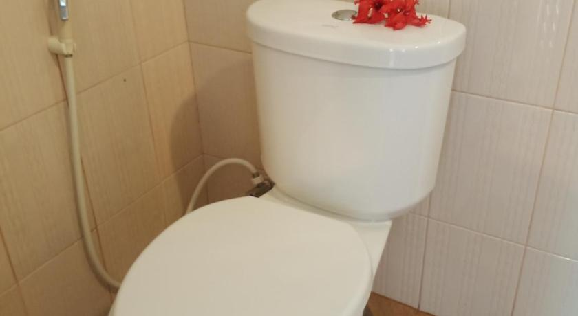Image of Standard 11