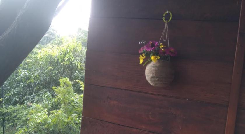 Dambulla Tree House photo