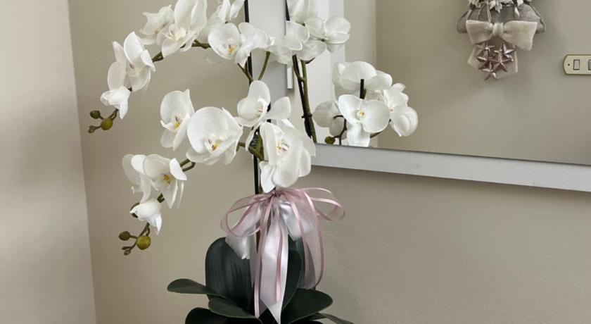 Casa vacanze l’orchidea