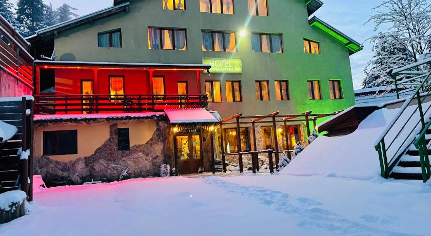 Hotel Forest Star on the Ski Slope photo