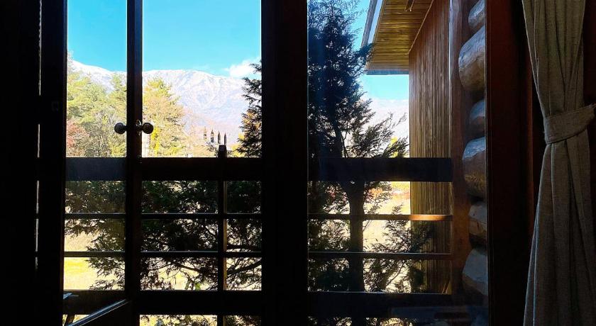 Hakuba Log Hotel Meteor - image 30