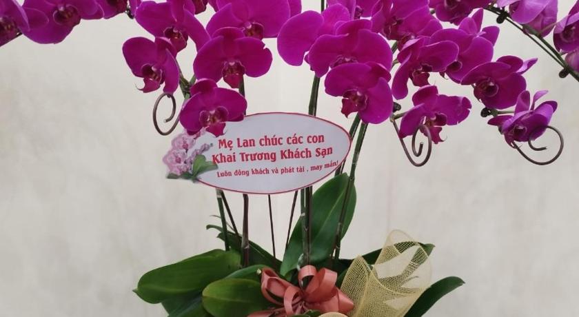 ハノイ Hanvet Hotel Ha Noi ホテル スイート