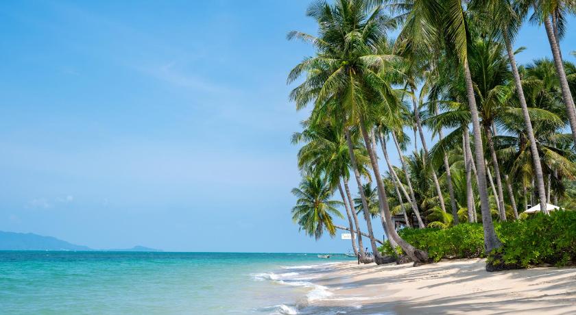Sea&Sky Beach Resort - image 2
