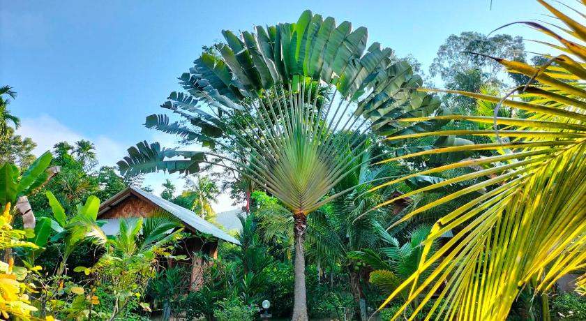 a palm tree in the middle of a lush green field, SiBoya Bungalows in Koh Sriboya (Krabi)