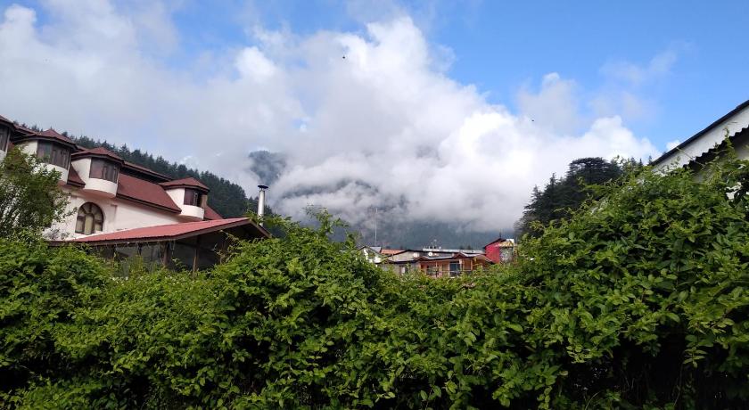 Wood Lines near mall road manali photo