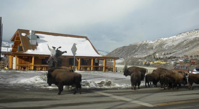 Cowboy's Lodge photo