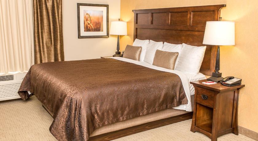 Teddy's Residential Suites New Town photo