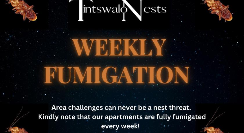 Tintswalo Nests photo