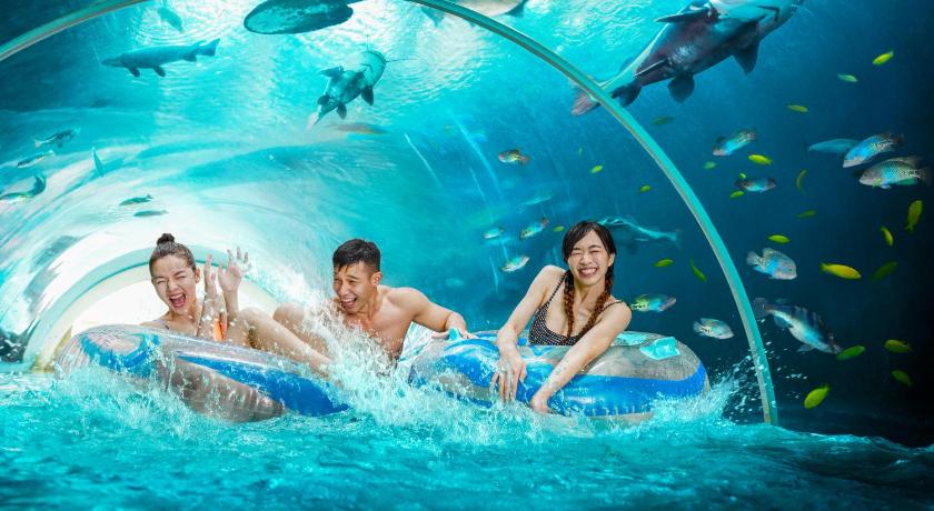 Kuva huoneesta 3D2N Stay & Play Package - Deluxe Room with complimentary One-Day Tickets for 2 Adults to Adventure Cove Waterpark & Singapore Oceanarium 4