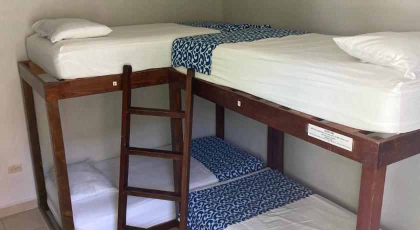 Image of Single Bed in 4-Bed Dormitory Room 7