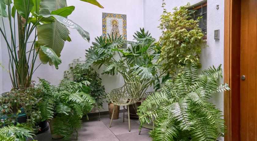 Barracart Apartments photo