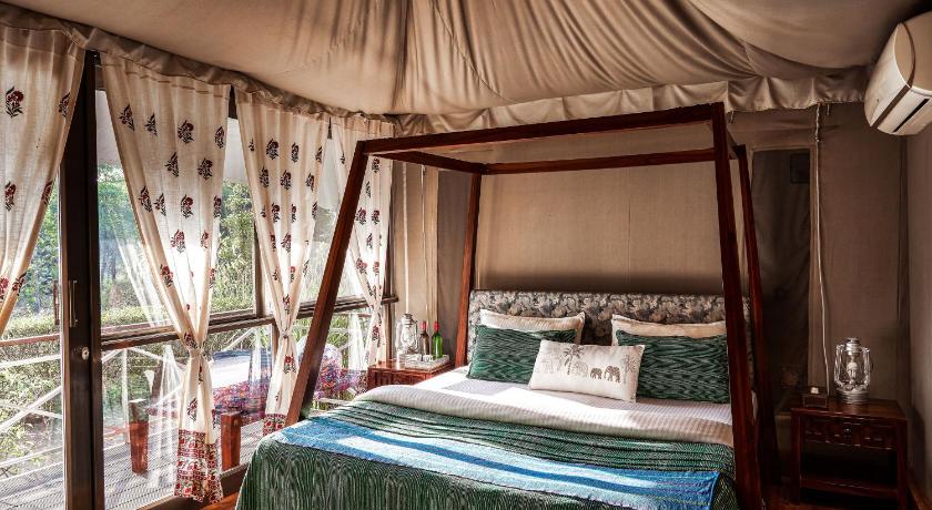 Bagh Tola, Bandhavgarh Tiger Reserve photo