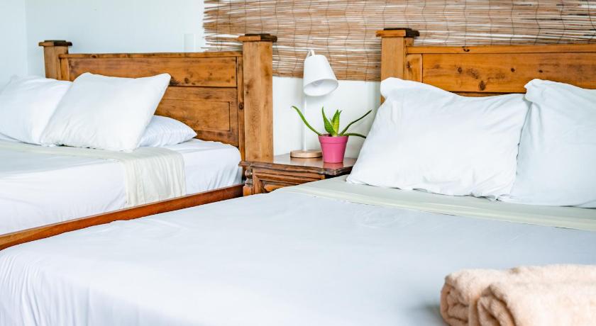 Lost in San Jose Hostel &amp; Suites — Hotel in San Jose