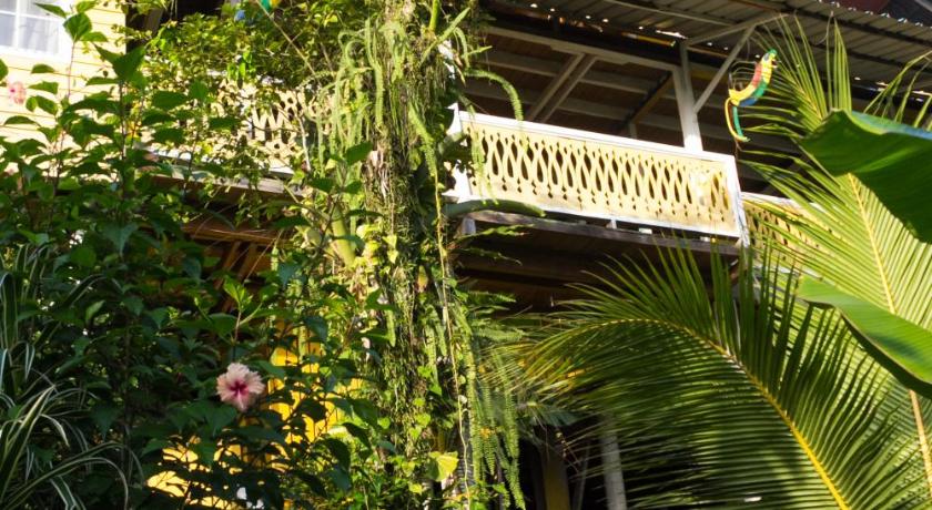 Bastimentos Hill Guest House photo