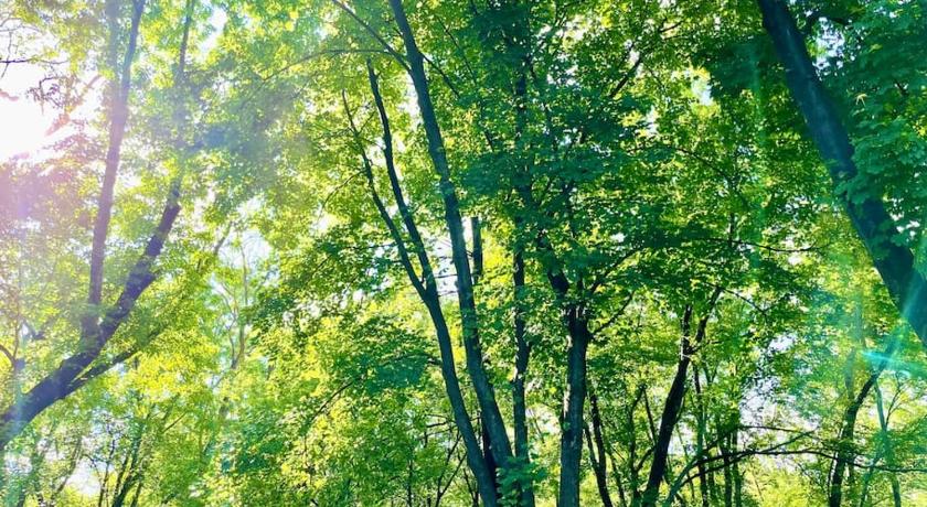 마타모라스 (PA) Forest and River Side Tranquil House 4성급 숙소 로비