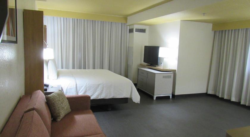 Image of 1 King Premium Room Single Sofa Bed 10