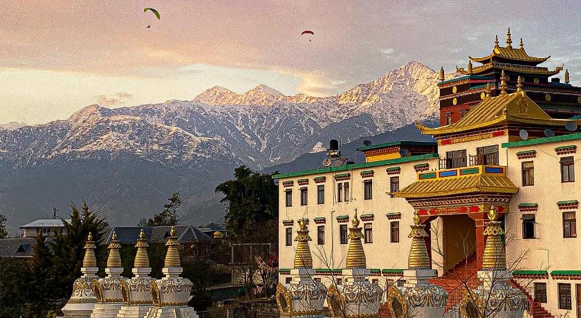 Chokling ArtHouse - The Treasure of Himalayas — Hotel in Palampur