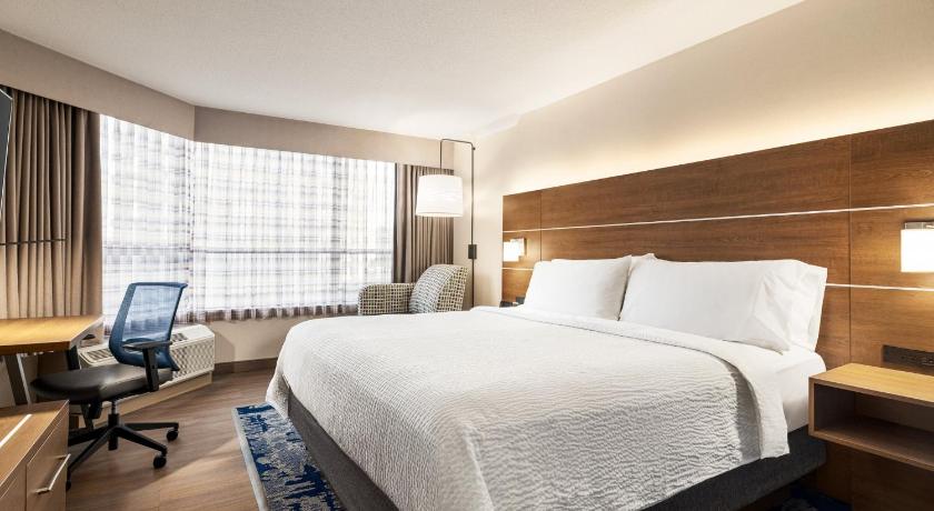 Image of 1 King Bed Standard City View 1