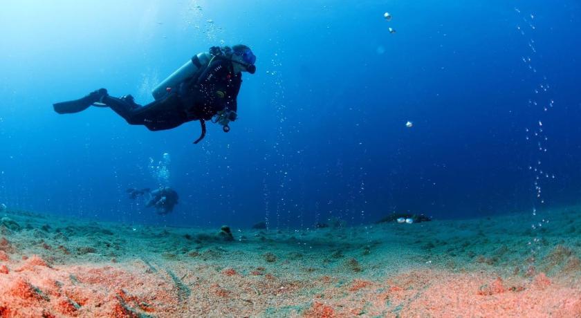 La Tortue Diving Resort Dauin photo