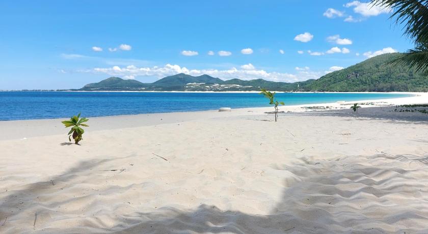Timothe Beach Apartments photo