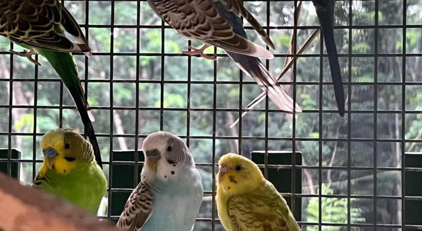 Ela forest Stay Tree House photo