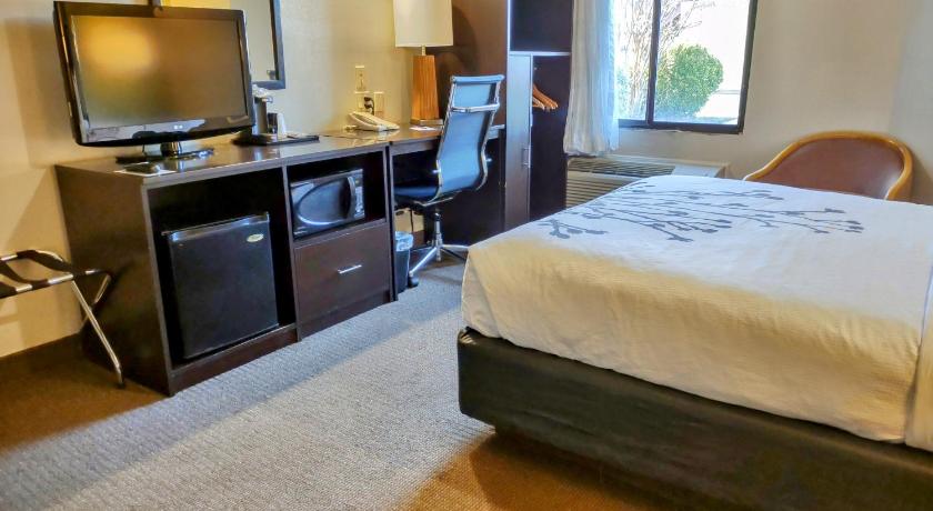 รูปของ1 เตียงควีนไซส์ เป็นมิตรต่อผู้พิการ ปลอดบุหรี่ (1 Queen Bed, Nonsmoking, Accessible) 1