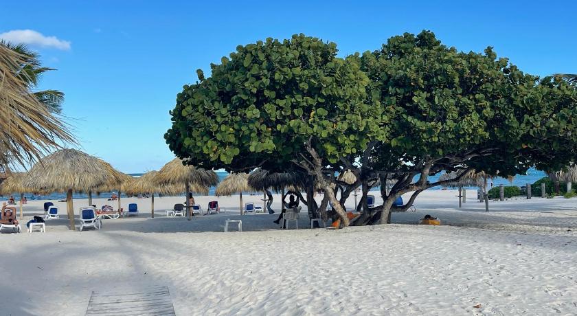 Stanza Mare Beach Front photo