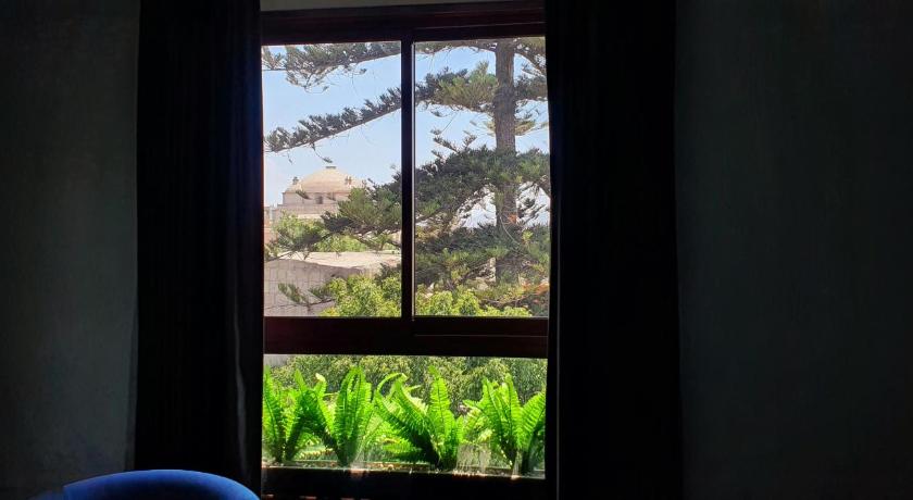 Vita Hoteles Arequipa photo