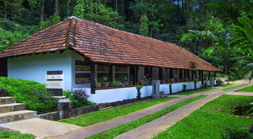 The Tamara Coorg