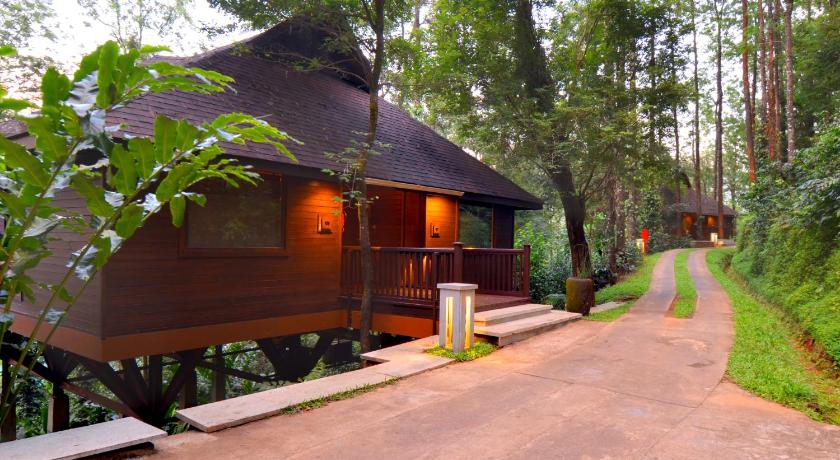 The Tamara Coorg