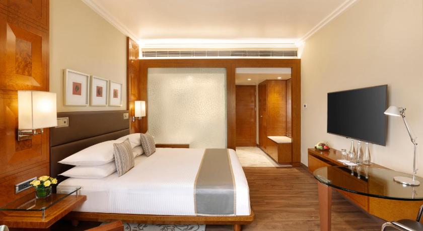 Hyatt Regency Delhi photo