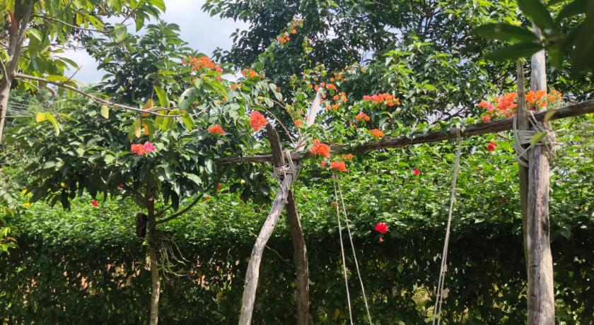 Bebe Homestay Phu Quoc photo