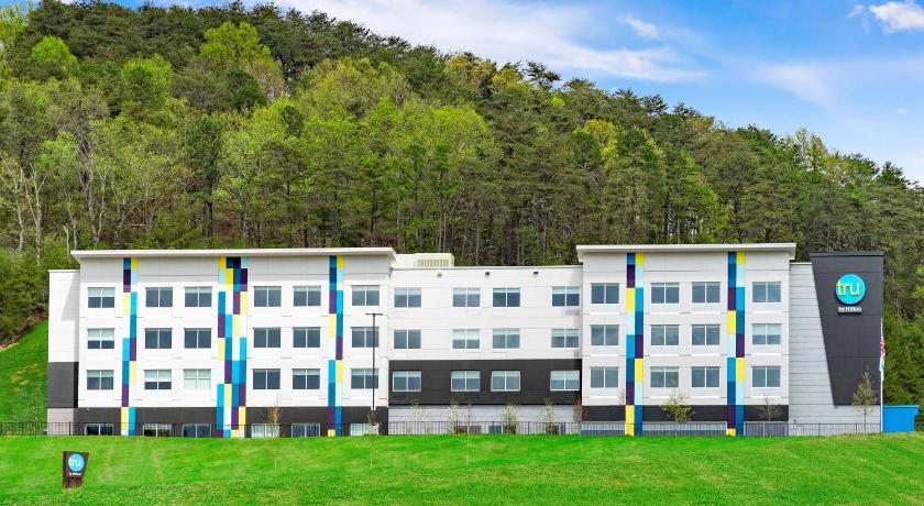 Tru by Hilton Cartersville photo